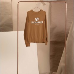 SCIURUS ikoniske sweatshirt brun med hvidt tryk til herre